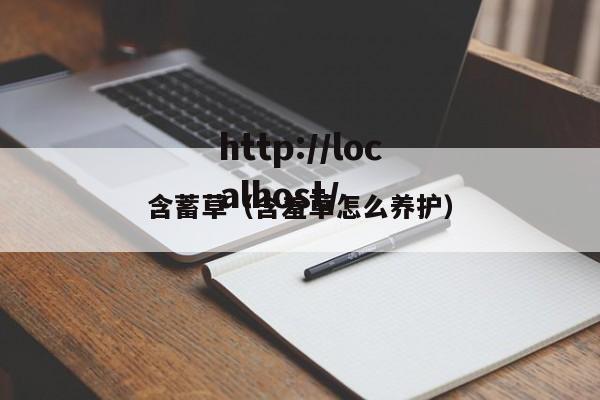 含蓄草（含羞草怎么养护）